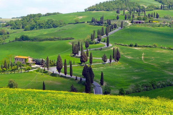 Pienza, Val Dorcia, Montalcino Wine and Pecorino Cheese PRIVATE TOUR From SIENA - Wine and Cheese Tasting