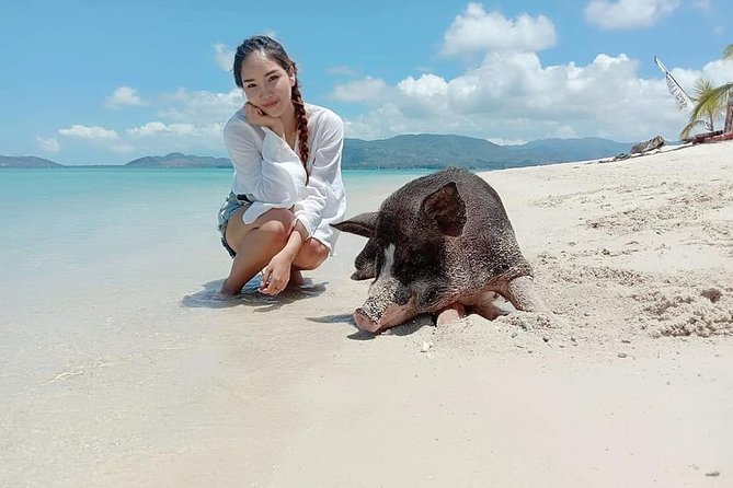 Pig Island Snorkeling & Sightseeing Tour By Speedboat From Koh Samui - Health and Safety Guidelines