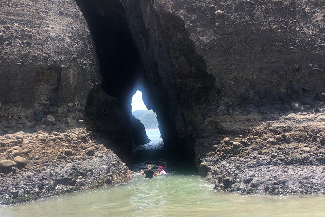 Piha Beach - Experience the Scenic Beauty