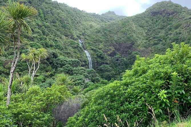 Piha Waitakere Rainforest Wine Tour From Auckland - Itinerary Details