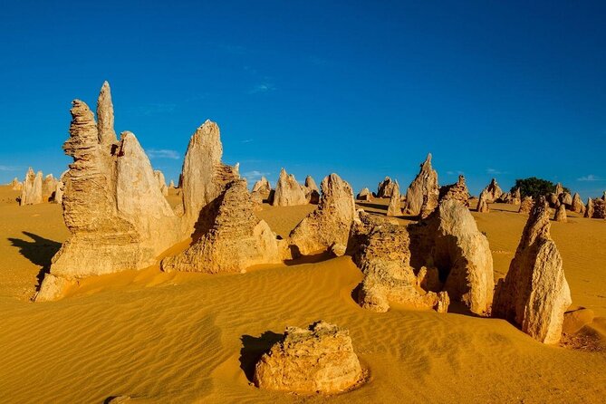 Pinnacles Desert, Koalas and Sandboarding 4WD Day Tour From Perth - Lobster Shack Visit