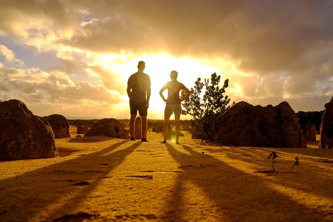 Pinnacles Sunset Dinner and Stargazing Experience a Small Group Tour - Guest Feedback and Experience