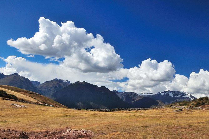 Pisac Inca Town, Artisan Market and Ollantaytambo Full-Day Tour From Cusco - Customer Experiences and Feedback