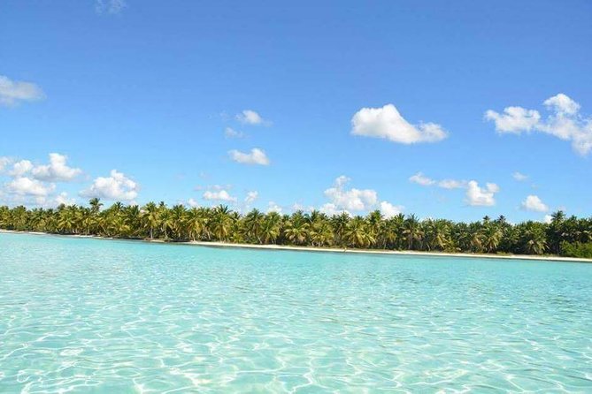 Platinum Private Saona Island Tour for Groups of 10+ People - What to Expect