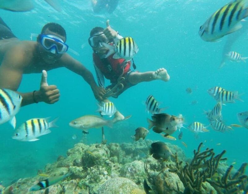 Playa Blanca: Daytour With Snorkeling and Racoon Sighting - Transportation Details