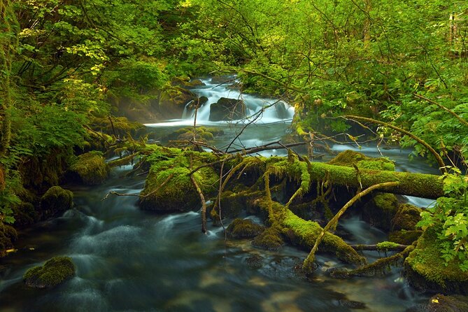 Plitvice Lakes Private Guided Walking Tour - Reviews and Customer Experiences