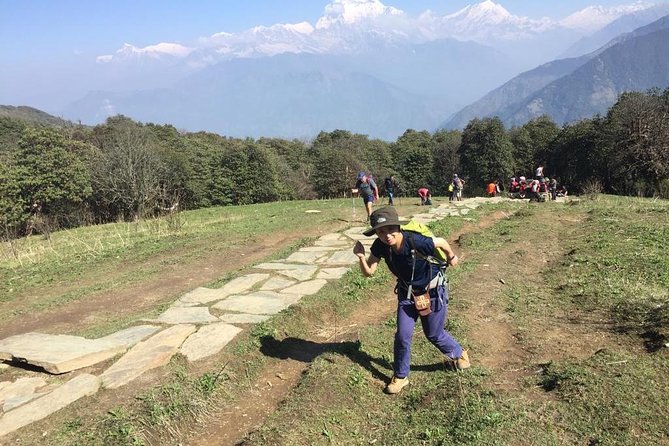 Pokhara: 4 Days Poon Hill - Ghandruk Village Trek - Pickup and Transportation Details