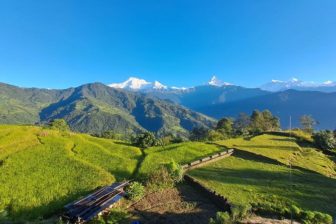 Pokhara: Easy Day Hike to Australian Camp & Dhampus Village - Meeting and Pickup