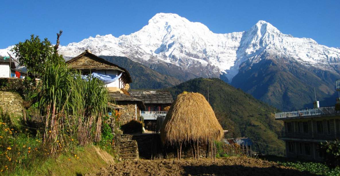 Pokhara: Guided Tour to Visit 5 Himalayas View Point - Itinerary of the Day