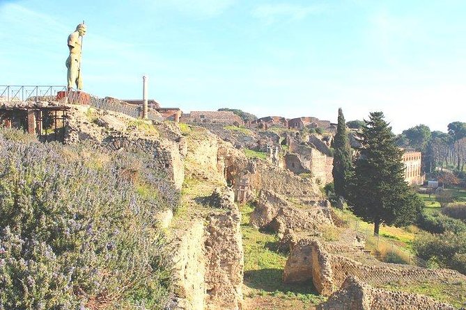 Pompeii and Herculaneum Private Tour With Native Guide and Skip the Line Tickets - Accessibility Information