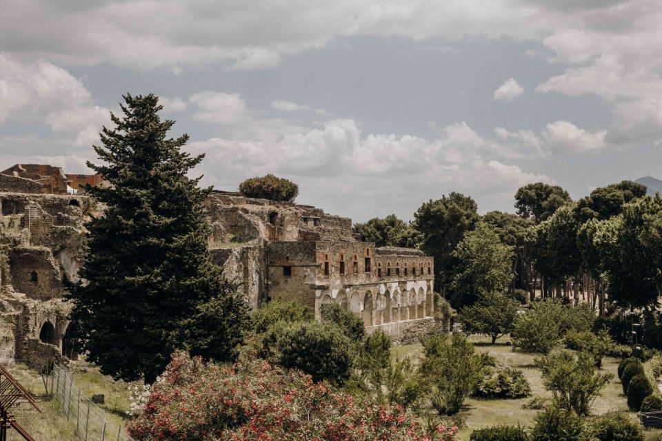 Pompeii: Park Tour With Archeologist - Tour Highlights