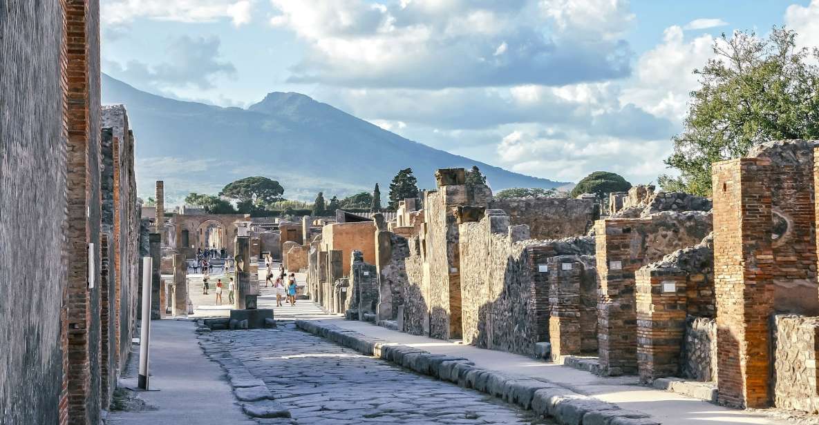 Pompeii: Skip-the-Line Ticket & Private Guided Walking Tour - Taking in Roman Aristocracy