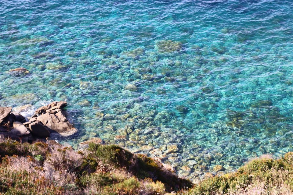 Ponza, Monte Guardia, Guided Nature Walk With a Local Guide - Booking Process