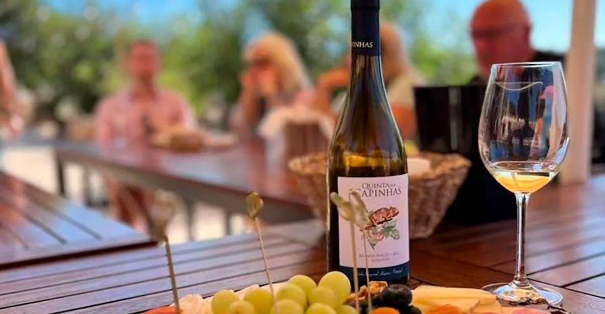 Porches: Exclusive Wine Tasting Experience - Highlights of the Experience