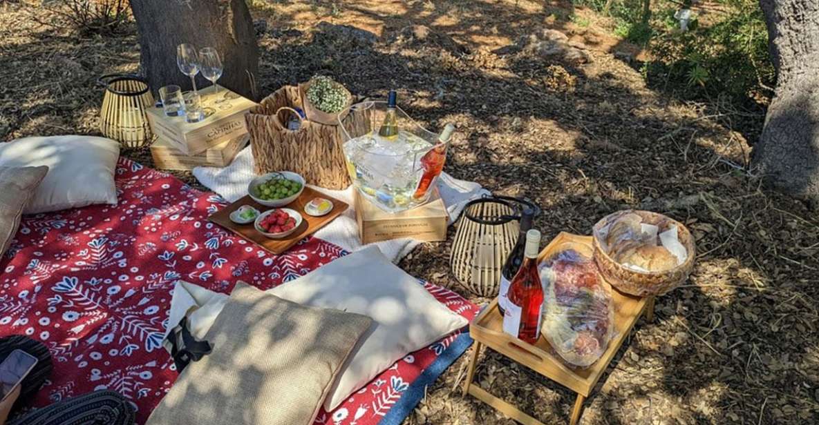 Porches: Vineyard Picnic Experience in the Algarve - Gourmet Tapas and Wines