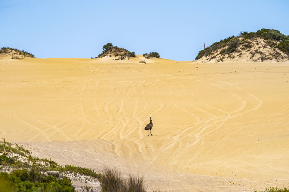 Port Lincoln: Wildlife and Sightseeing Full-Day 4WD Tour - Inclusions