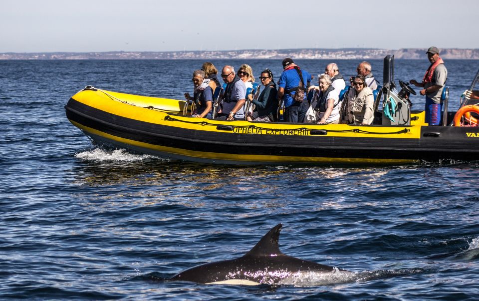 Portimão: 2-Hour Dolphin Watching Boat Tour - Exclusions