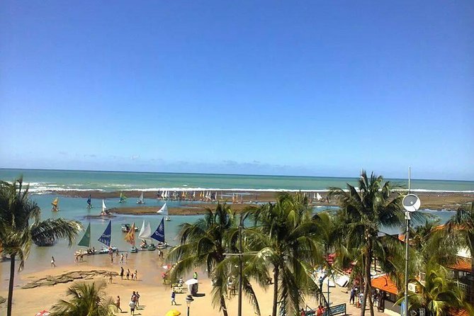 Porto De Galinhas Tour From Maragogi by Top Tours - Customer Reviews and Ratings