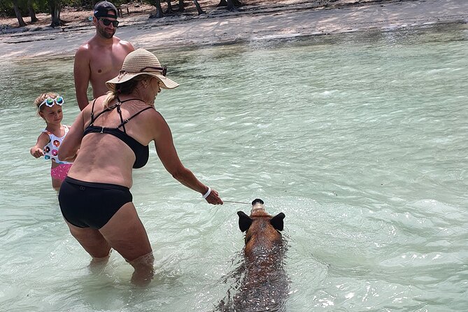 Powerboat and Snorkel Experience With Swimming Pigs and Turtles - Safety Considerations