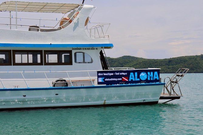 Premium Guided Scuba Diving Day Trip for Certified Divers - Snacks, Lunch, and Beverages