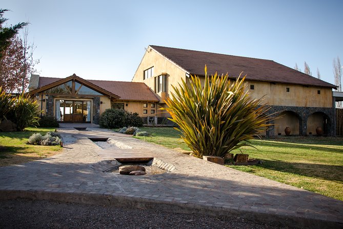 Premium Luján De Cuyo Wine-Tasting Tour in a Small Group - Inclusions and Logistics
