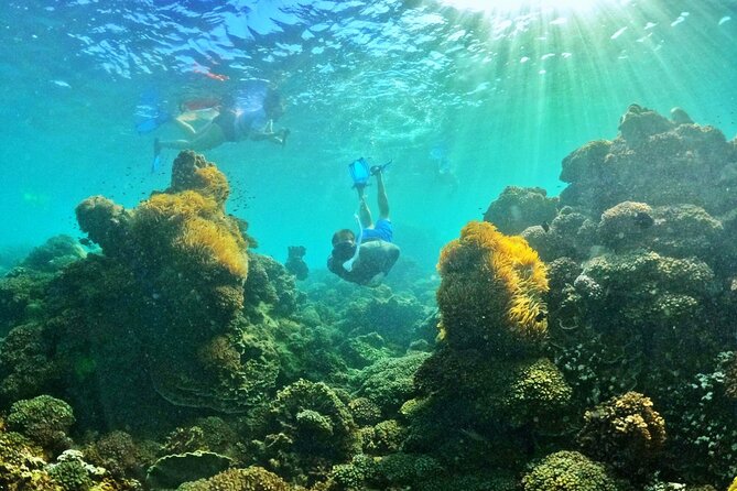 PREMIUM SNORKELING to Explore the Coral Jungle (MAX 8-9 PAX) - Meeting and Pickup Locations