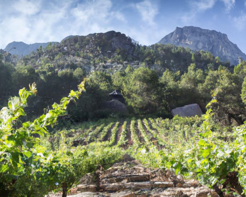 Premium Tour of Olympia: History and Wine Tasting Experience - Historical Significance