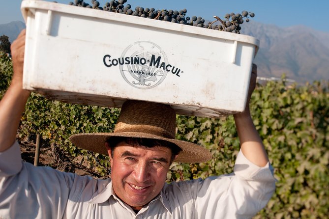 Premium Wine Tour in Viña Cousiño Macul - Booking Process