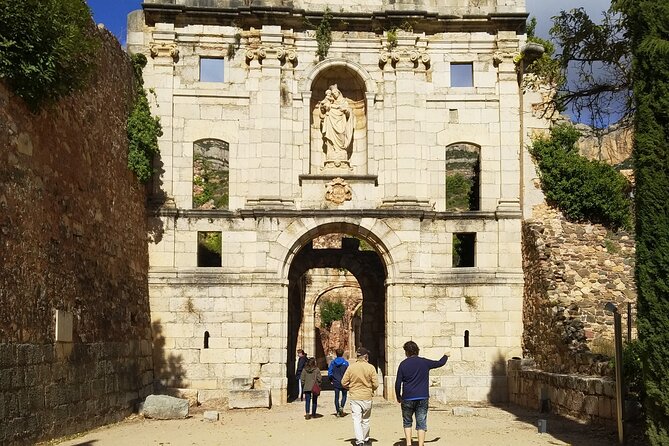 Priorat: 3 Wineries, Olive Oil and Lunch With Hotel Pick-Up - Olive Oil Tasting Experience