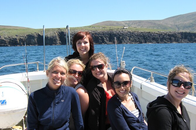 Private 1-Hour Guided Boat Tour in Dingle Peninsula - Customizable Itinerary Options