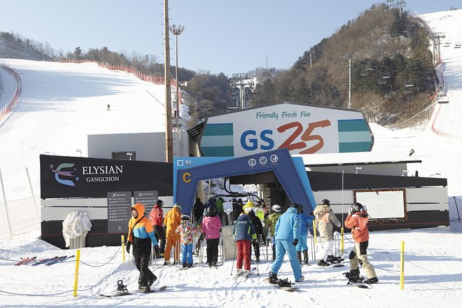 Private 1:1 Ski Lesson Near Seoul, South Korea - Booking Process