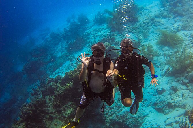 Private 2 Tank Guided Experience in Curaçao for Certified Divers - Customer Reviews