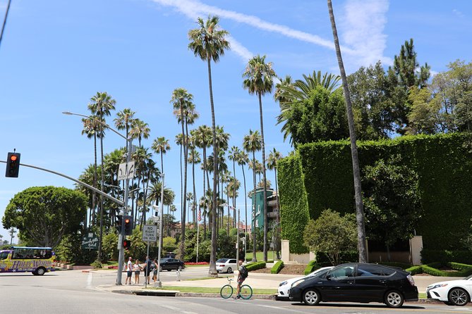 Private 3 Hours Los Angeles Tour - Customer Feedback and Reviews