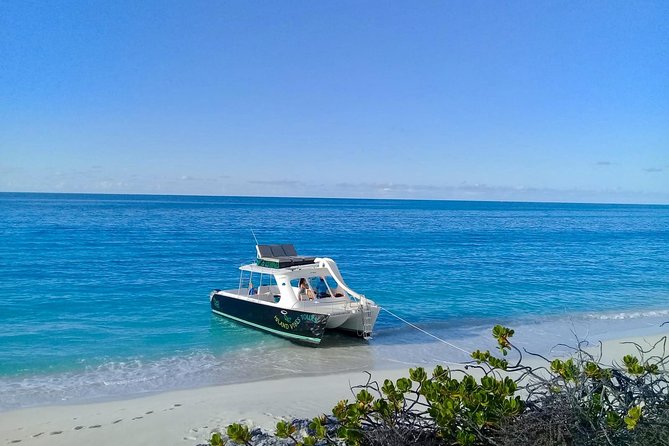 Private 4 Hour Power Catamaran Excursion in Grace Bay - Delectable Lunch and Beverages