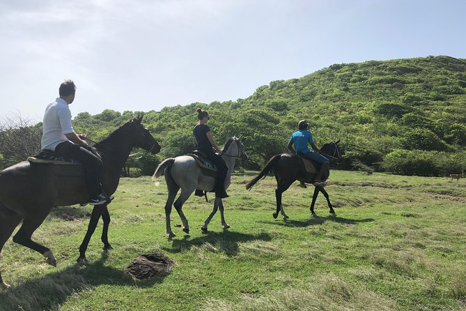 Private Advanced Horseback Beach Ride With Sandy Hoofs St. Lucia - Health and Safety Guidelines