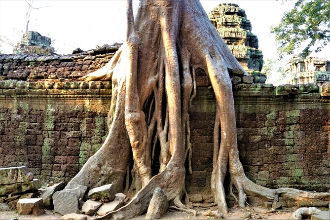 Private Angkor Temples Walking Tour From Siem Reap - Bayon Temple Highlights