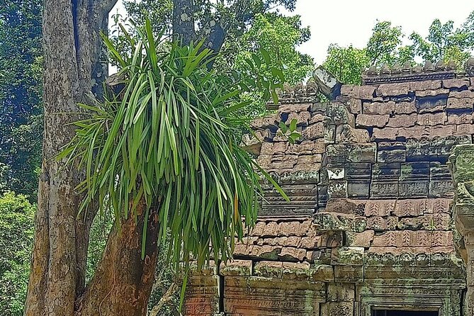 Private Angkor Wat Guided Sunset Tour - Important Tour Information