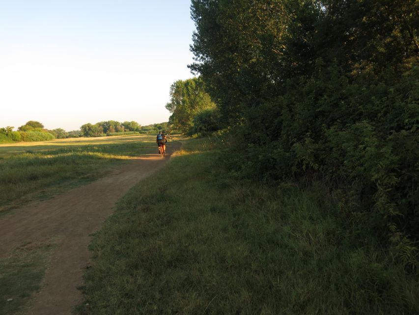 Private Bike Tour, Nature and History Along the Appian Way - Activities and Experiences