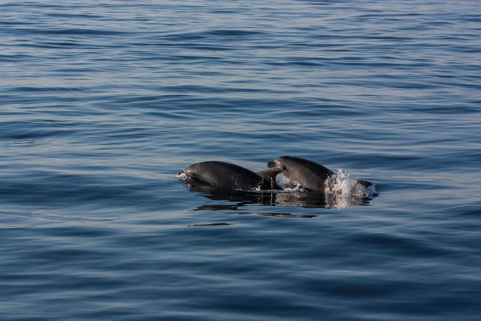 Private Boat Tour With Snorkeling, Hot Springs & Caldera - Scenic Exploration