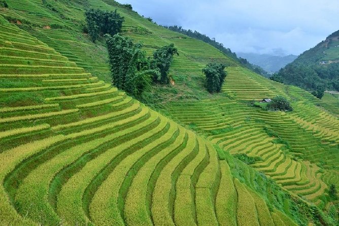 Private Car and Tour Guide Exploring Northern Vietnam - Inclusions and Exclusions