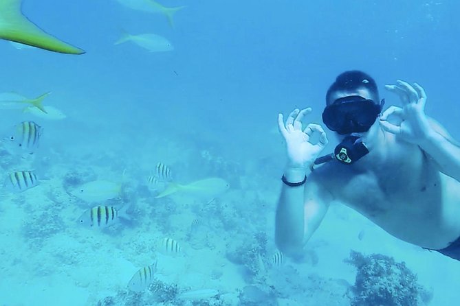 Private Catamaran With Parasailing / Snorkeling / Hooka Diving - Pickup and Transportation
