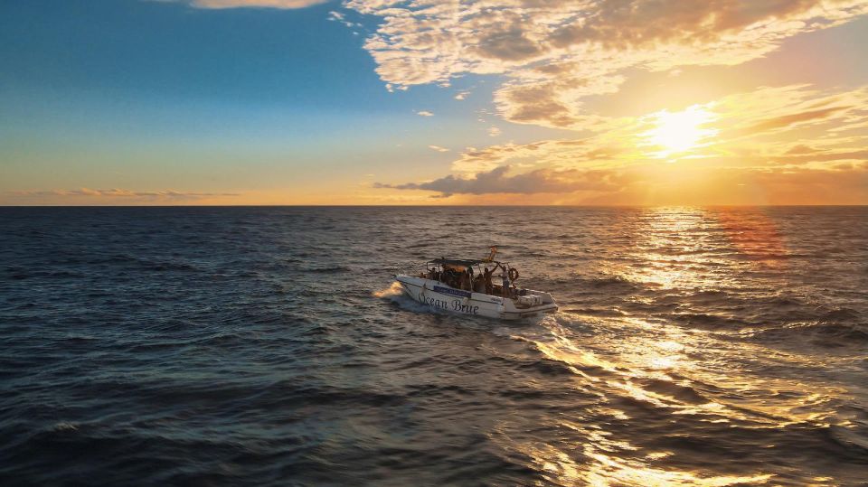 Private Charter Private Charter to See the Whales - 8 Hours - Tour Features