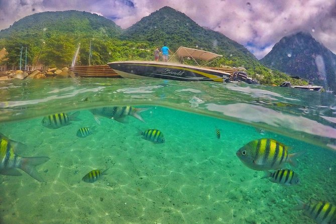 Private Custom Coastal Cruise St. Lucia Half Day - Health and Safety Measures