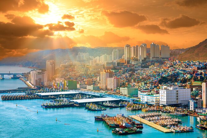 Private Custom Tour With a Local Guide in Busan - Cancellation Policies Explained