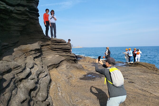Private Day Tour East & South & West of Place in Jeju Island - Accessibility Information