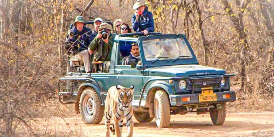 Private Day Trip With Tiger Safari From Jaipur All Included - Inclusions and Exclusions