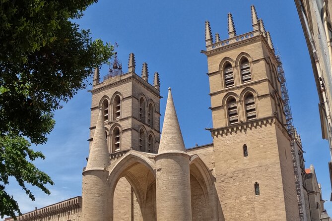 Private Discovery of Montpellier by Bike-Taxi - Confirmation and Accessibility
