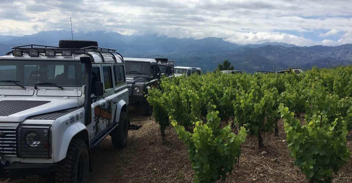 Private Exclusive Manousakis Winery and Vineyard Tour - Inclusions of the Tour