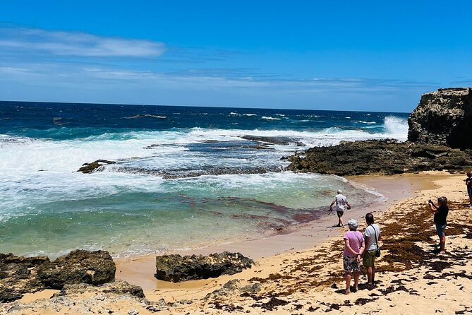 Private Exclusive Scenic Views Tour of Barbados Landscapes - Pickup Locations and Times