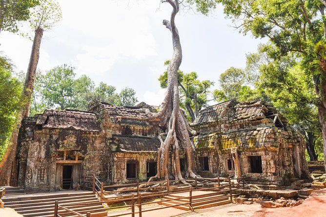 Private Full-Day Angkor Temple and Sunset Viewing With Lunch - Ta Prohm and Serenity